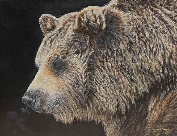 Grizzly #7